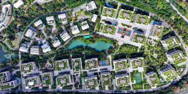 Vers la « bio-ville » : investir dans la nature afin de transformer nos paysages urbains