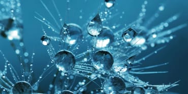 Navigating a multi-polar world through structural themes in equities