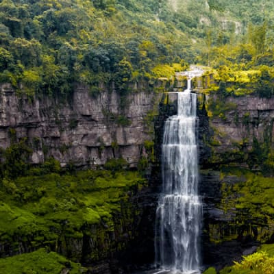 COP16 – what should business leaders expect?