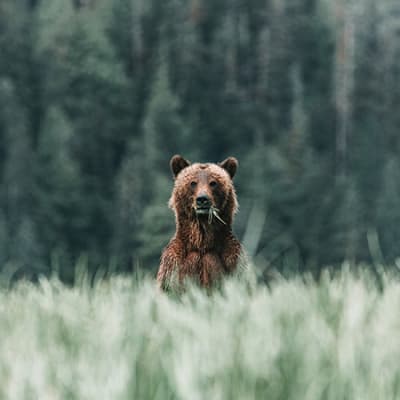 Investir en phase baissière – quelles perspectives pour les marchés à partir des niveaux actuels ?