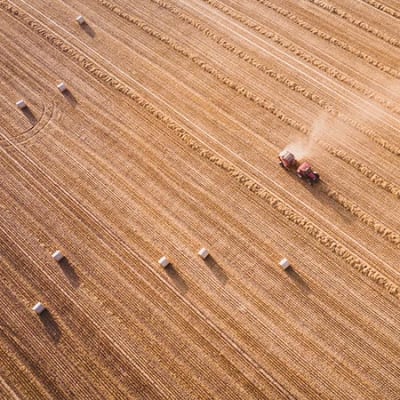 L'insécurité alimentaire consécutive au conflit en Ukraine fait planer un risque de volatilité accrue 