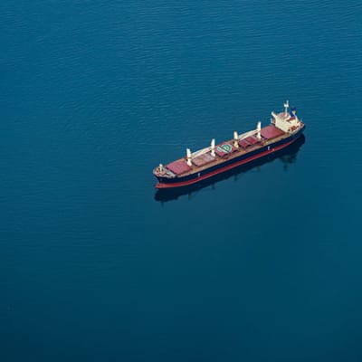 Tracking the Recovery with Big Data