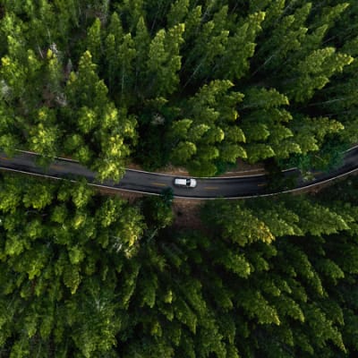 I marchi di lusso dell’automotive aprono la strada a interni più sostenibili