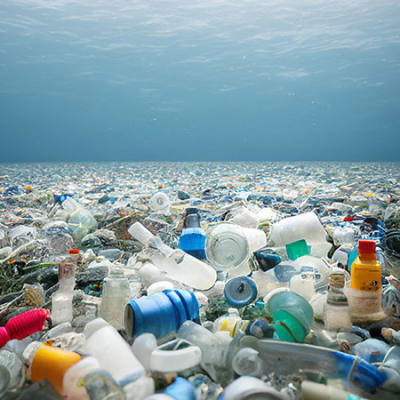 Können plastikfressende Enzyme das Recyclingproblem lösen?