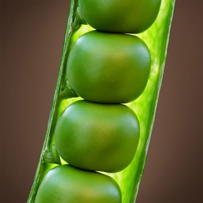 Quel est le rôle des investisseurs dans le financement de l’innovation au service de la transition vers un avenir soutenable ?