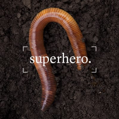 Soil: food’s forgotten superhero