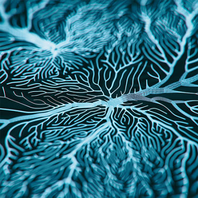 A guide for the innovative philanthropist: medicine, technology and a greener future
