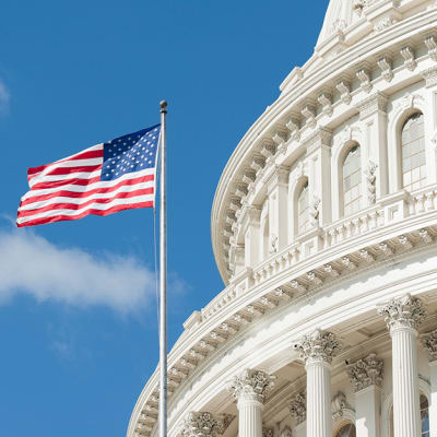 An historic US election: watch the replay of our webinar with our Global CIO and our Chief Economist 