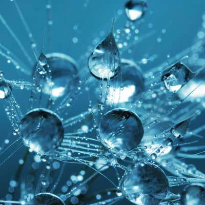 Navigating a multi-polar world through structural themes in equities