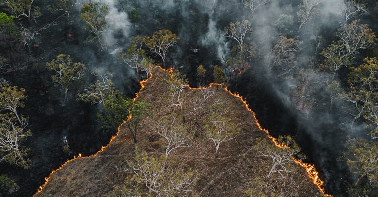Preventing forest fires – Marc Palahí explains why economic transformation is the only long-term solution