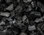 carbon markets.