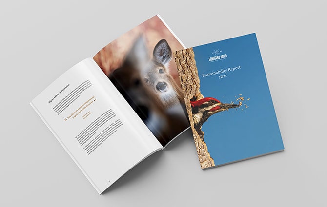 download the report
